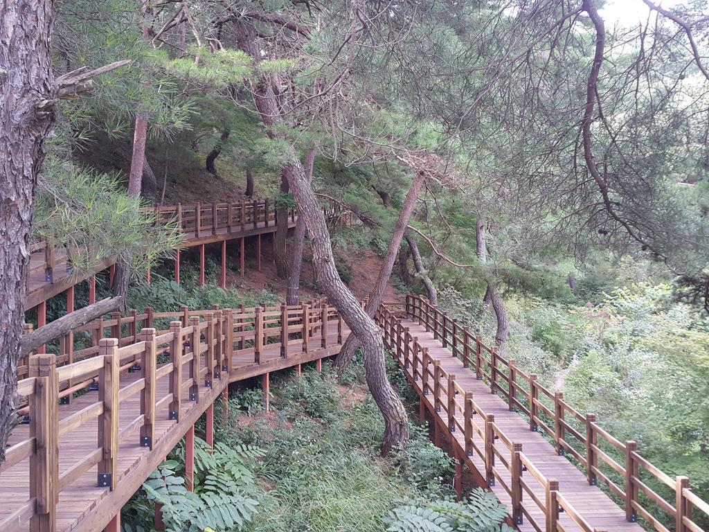 Pyeongchang River House מראה חיצוני תמונה