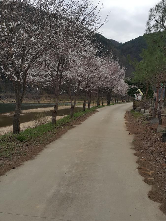 Pyeongchang River House מראה חיצוני תמונה